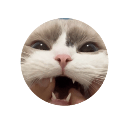 姆噠表情包