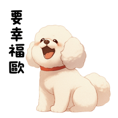 Bichon Frize Super Healing Daily