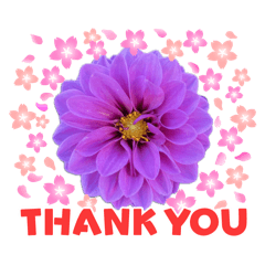 flower thank you frames