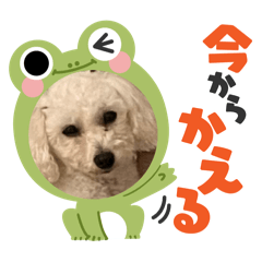 pupu_20241030192210