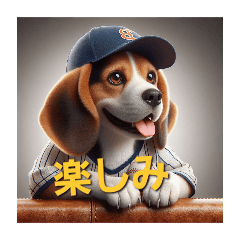 Baseball dog Beagle