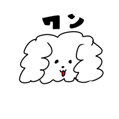 marun_20241031045326