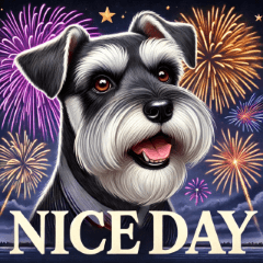 Cute Realistic Fireworks Schnauzer Dog