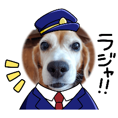 Mi-mam_20241031135807