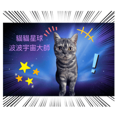 朵朵妞妞貓咪1