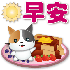 Q Calico cat &food-Commonly used phrases