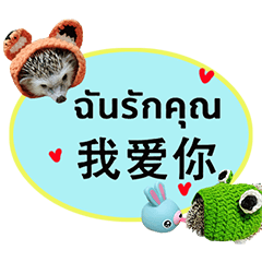 Cute daily greetings to hedgehogs