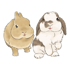 Bunny In Richessland