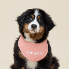 Berner_nina