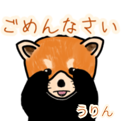 「うりん」レッサーパンダ日常会話