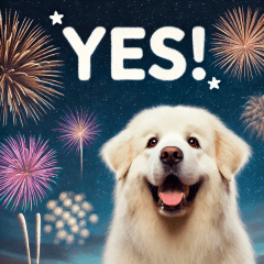 Cute Fireworks Pyrenees