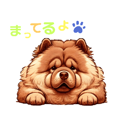 Love chowchow_20241031171723