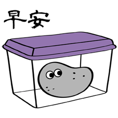 My virtual pet rock(dynamic)