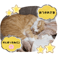 mitsuki_20241031181604