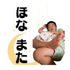 Bonsuke9_20241031161057