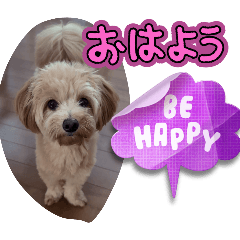momolove_20241101111544