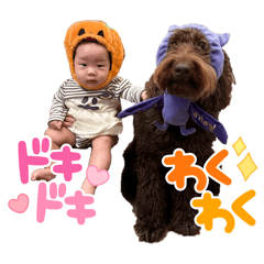 Nyaaaaaa1187_20241031230819