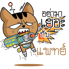 PAT12 Robot cat