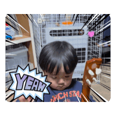 fumi-fumi_20241031202611