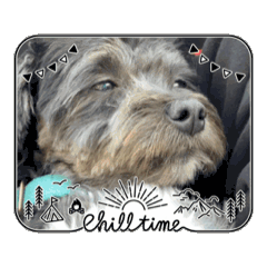 Olioli_20241101101921