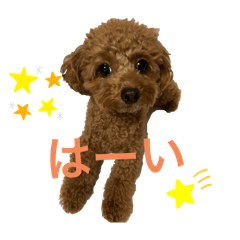 Im Karaage