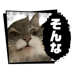 guranora_20241101090125