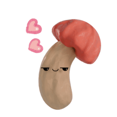 Sprouty - charming mushroom