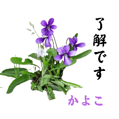 kayo_20241101013146
