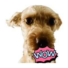 Kampon_20241101131408