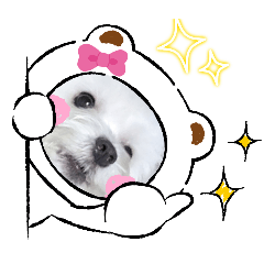 ROKO_20241101151847