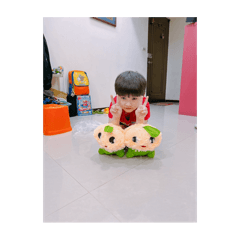 阿肥寶