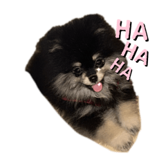 The gang sk1_20241101182703