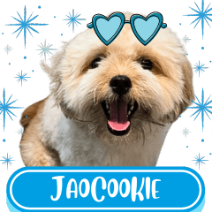 WOOFME WITH JAOCOOKIE