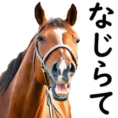 新潟弁で競馬