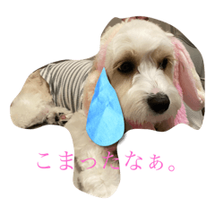 mitsuki_20241102113812