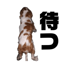 NG_20241101194332