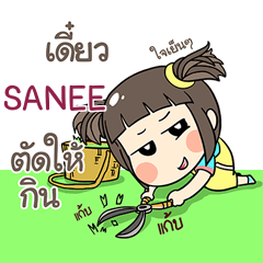 SANEE kao-soi e