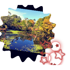 Mizuti_20241101170423