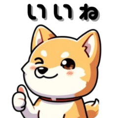 Adorable Shiba Inu Pochi's Emotions