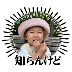 Haruta_20241103001657