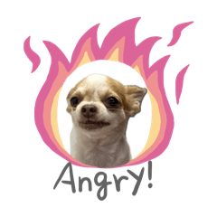 Kampon_20241103112534