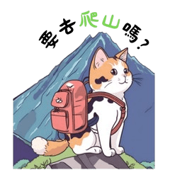 Travelling cat