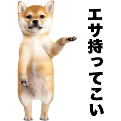 Shiba Inu Agitation Stamp (funny)