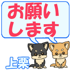 Kamiguri's letters Chihuahua2