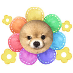Chonlada_20241103172107