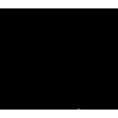 非常的雜