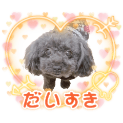 mimo3961345_love dog