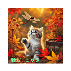 Kitten of the four seasons