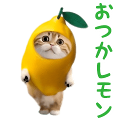 踊る!ダンス猫(ダジャレ)