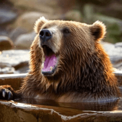 A bear living in a hot spring